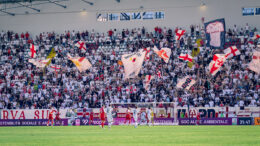 Abbonamenti e Calcio Padova Card: indicazioni per risoluzione problemi per gli accessi allo stadio