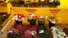 FLOROVIVAISMO, COLDIRETTI VENETO: “PARAMETRI DA AGGIORNARE, IL SETTORE È CAMBIATO”