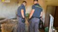 Smantellate due serre di marijuana in provincia di Udine, sequestrati 23 chili di droga