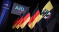 Elezioni in Sassonia-Anhalt, proiezioni: Afd trionfa con 44% dei voti. Siegmund: “Abbiamo fatto la storia”