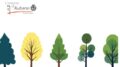 Alberi per la Pianura Veneta: chiuse le prenotazioni per i cittadini