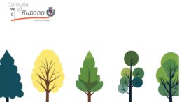 Alberi per la Pianura Veneta: chiuse le prenotazioni per i cittadini