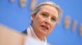 Germania, AfD chiede nuove elezioni e si dichiara pronta a governare