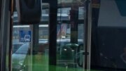Trasporto pubblico locale, report Istat: in aumento autobus a basse emissioni, crescono bike e car sharing