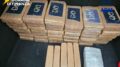 Colpo al narcotraffico, sequestrati 53 kg di cocaina in un container al porto di Livorno