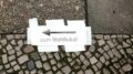 Germania, domani il voto in Sassonia-Anhalt: AfD vola nei sondaggi