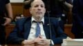 Harvey Weinstein condannato a 15 anni di carcere per violenza sessuale