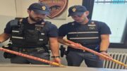 La Polizia di Stato sventa all’Arcella una spedizione punitiva: cinque bengalesi, armati di mazze da cricket, si stavano recando ai Giardini San Carlo per aggredire un cittadino pakistano che aveva poco prima aggredito un loro connazionale, già noto