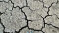ACQUA, COLDIRETTI VENETO: “SERVE UNA NUOVA STRATEGIA PER LA SICUREZZA IDRAULICA DEL TERRITORIO”