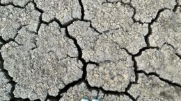 ACQUA, COLDIRETTI VENETO: “SERVE UNA NUOVA STRATEGIA PER LA SICUREZZA IDRAULICA DEL TERRITORIO”