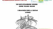 Sportello Mentore: webinar gratuito su I Bandi dell’OCM Vino, 12 novembre ore 15