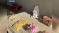 Bologna, sei arresti e sequestro di 420 chili di hashish