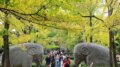 Cina, cresce il mercato interno del turismo