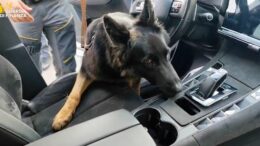 Maxisequestro di 22 Kg di cocaina nel catanese, arrestato 36enne serbo