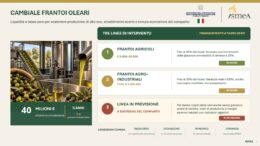 Agricoltura, Ismea: 40 mln per frantoi con ‘Cambiale Frantoi Oleari’