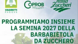 Semina barbabietola 2027: nuovo appuntamento a Piove di Sacco con il consulente COPROB giovedì 29 ottobre