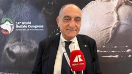 Campanile (Buffalo Federation), “Robotica e genomica cambieranno l’allevamento”
