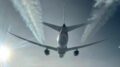 Cimici dei letti a bordo di un aereo proveniente dall’Australia, volo Qantas fermato a Fiumicino: cos’è successo