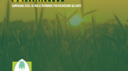 Fondo sovranità alimentare seminativi – Campagna 2026: al via le domande per richiedere gli aiuti