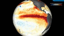 El Niño verso un picco record a dicembre, allarme Onu: “Intensità senza precedenti”