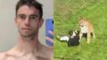Morto dopo essere stato aggredito da una tigre in un parco, identificata la vittima: chi era William Chapman