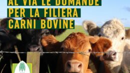 Fondo Sovranità Alimentare 2026: al via le domande per la filiera carni bovine