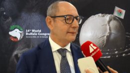 Raimondo (Tutela mozzarella bufala campana Dop): “Filiera 1,2-1,3 mld, quasi una Fiat”