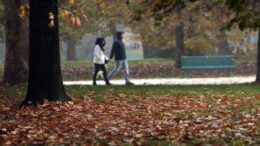 Sole e caldo anomalo fino a 20°C, poi cambia tutto: quando arriva il freddo