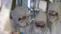 Virus Shamonda, “no casi umani in Italia, attenzione rafforzata”: la circolare del ministero dell a Salute