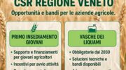 CSR Regione Veneto: lunedì 5 ottobre a Cittadella incontro informativo su bandi giovani e adeguamento vasche liquami