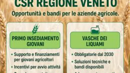 CSR Regione Veneto: lunedì 5 ottobre a Cittadella incontro informativo su bandi giovani e adeguamento vasche liquami