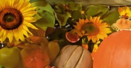Colori e Sapori d’Autunno