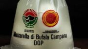 Caro carburanti, per sciopero autotrasporto bloccata produzione mozzarella di Bufala Campana