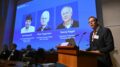 Nobel per la Medicina a Deisseroth, Hegemann e Nagel: il premio per gli studi sull’optogenetica
