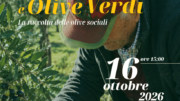 AGLI ALBERONI DI VENEZIA, LA RACCOLTA DELLE OLIVE DIVENTA BENESSERE.