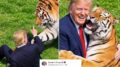 Uomo sbranato da una tigre, Trump posta il video: “Non si scherza con la natura”. Poi pubblica la parodia con IA