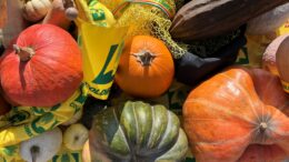 CAMPAGNA AMICA ROVIGO RADDOPPIA: IL MERCATO COPERTO APRE ANCHE IL MERCOLEDÌ POMERIGGIO